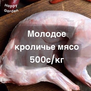 куриная мясо: Кроличье Мясо 100% Халяль 1 кг 500сом ( заказ минимум 2кг ) Всегда