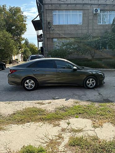avante 1: Hyundai Avante: 2022 г., 1.6 л, Вариатор, Бензин, Седан — 3