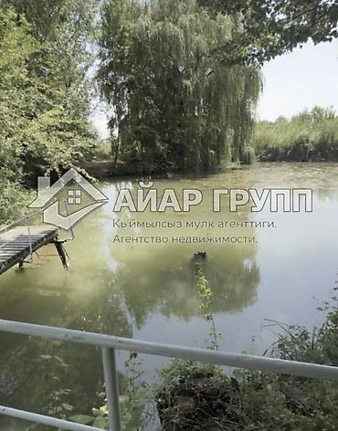 дом из дерево: 4 комнаты, 130 м², 30 соток, Дмитриевка — 5