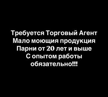 Торговые агенты: Требуется Торговый агент, График: Шестидневка, 1-2 года опыта, Карьерный рост, Полный рабочий день