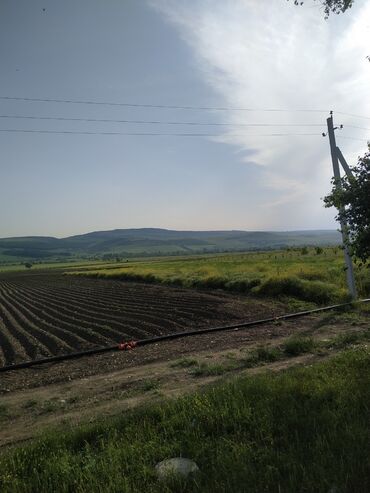 bakıxanovda torpaq: 100 соток, Для сельского хозяйства, Собственник, Купчая