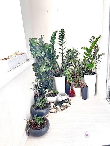 Долгосрочная аренда квартир: 4 комнаты, Агентство недвижимости, Без подселения, С мебелью полностью — 16