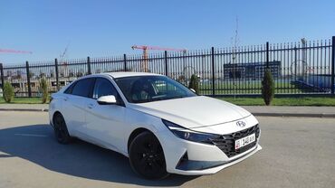 купить мотороллер муравей новый: Hyundai Avante: 2020 г., 1.6 л, Типтроник, Гибрид, Седан