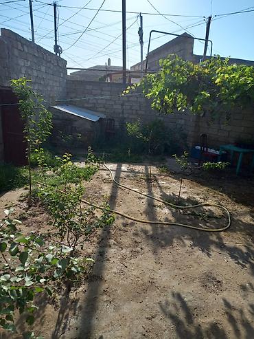 Həyət evləri və villaların satışı: 3 otaqlı, 100 kv. m, Kredit yoxdur, Orta təmir — 10