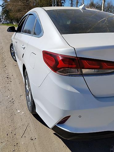 вдоль реки: Hyundai Sonata: 2017 г., 2 л, Автомат, Газ, Седан — 5