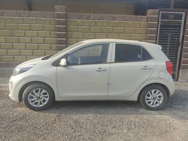 Kia: Kia Morning: 2020 г., 0.1 л, Бензин, Хэтчбэк — 8