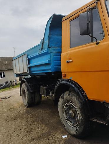 Yük maşınları: MAZ 5549, 1986 il, motor 1.8 l, Samosval, İşlənmiş — 9