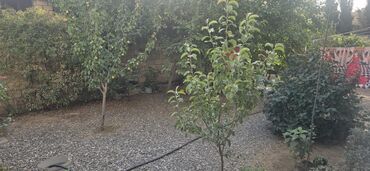 Həyət evləri və villaların satışı: 7 otaqlı, 200 kv. m, Orta təmir — 18