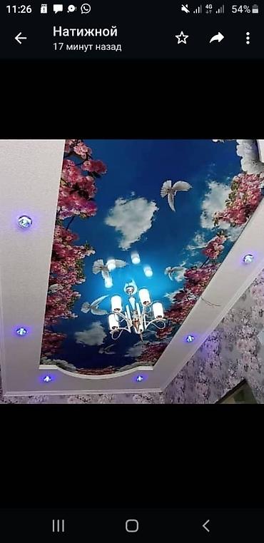 Натяжной потолок: Натяжной потолок — 7