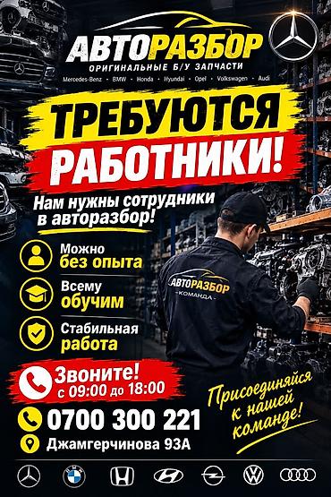 Авторазбор — оригинальные б/у запчасти для Mercedes-Benz, BMW, Honda