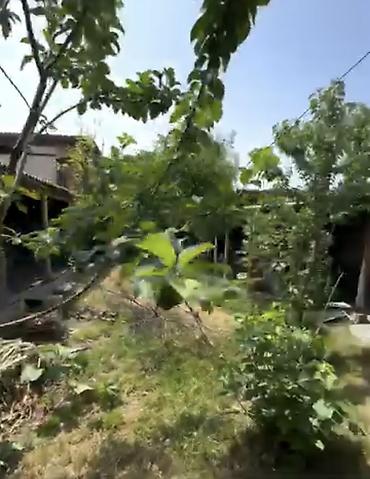 Продажа коттеджей и домов: Продаётся большой 6-ти комнатный дом со всеми удобствами в г. Талас — 13