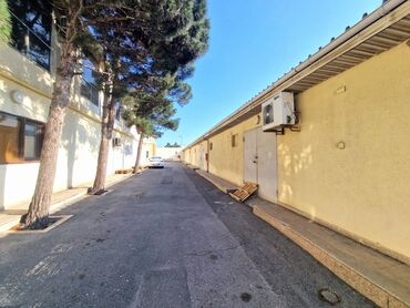 Anbar və emalatxanalar: Xətai rayonu, Babək prospektinə "Şərq Motors"un yaxınlığındа səliqəli -da lalafo.az — 5 Anbar və emalatxanalar: Xətai rayonu, Babək prospektinə "Şərq Motors"un yaxınlığındа səliqəli — 5