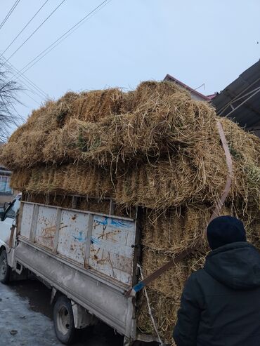 Корма для с/х животных: Продаю тюки клевера доставка имеется