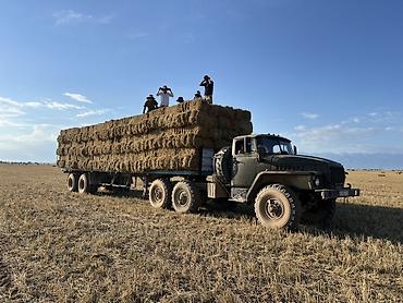 Продажа Урал тягача-вездехода с прицепом - Тяжёлый полноприводный