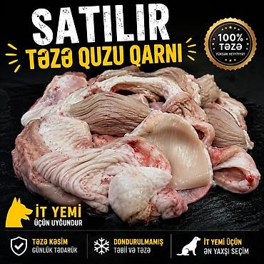 donuz yemi: Məhsul: Təzə quzu qarnı (it yemi üçün). - 100% təzə, yüksək — 1