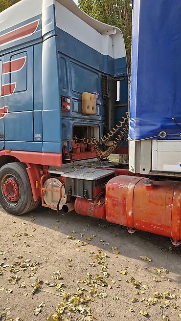 Тягачи: Тягач, DAF, 2004 г., Тентованный — 12