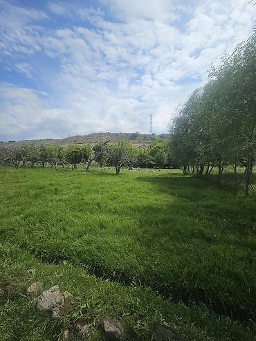 Продажа участков: 31 соток, Для бизнеса, Тех паспорт, Договор купли-продажи — 16