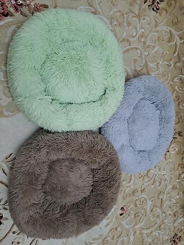 Зоотовары: Зоотовары. животные. Переноска номер 3размер 66.47.46 контейнер для at lalafo.kg — 7 Зоотовары: Зоотовары. животные. Переноска номер 3размер 66.47.46 контейнер для — 7