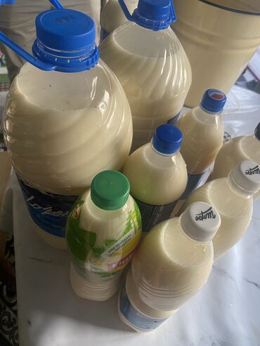молочные продукты: Тоодон жасалып келгез таза кымыз сатылат 100%таза ойлонбостон заказ