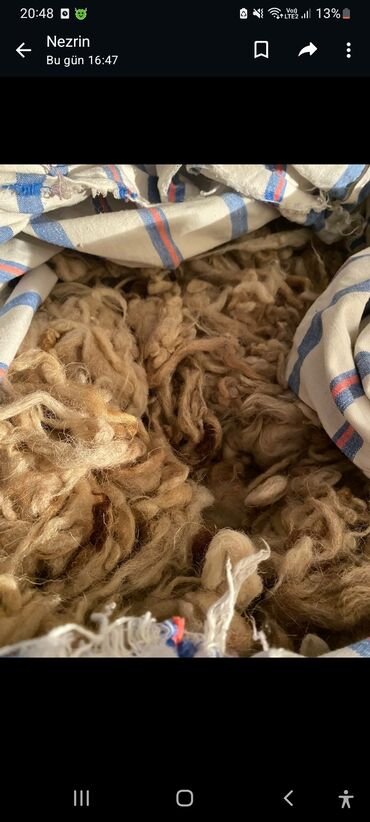 balaxani tekstil: Yun kilos 3manat unvan balaxani
