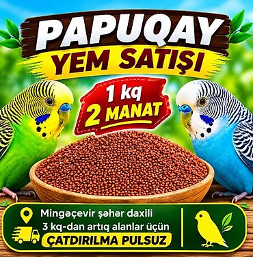 pişiy şəkilləri: Məhsul: Papuqay yemləri - Təzə və xırdalanmamış dənlər, gündəlik — 1