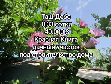 каракол продажа квартира: 8 соток, Курулуш, Кызыл китеп