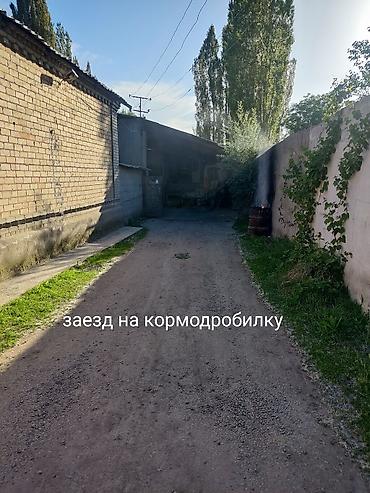 Продажа коттеджей и домов: Продам очень большой благоустроенный дом 250кв м жилая площадь — 3