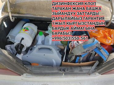 холодильник ремонт ош: Дезинфекциялоо, дезинсекциялоо, | Канталалар, Бүргөлөр, Таракандар, | Транспорт, Офистер, Батирлер