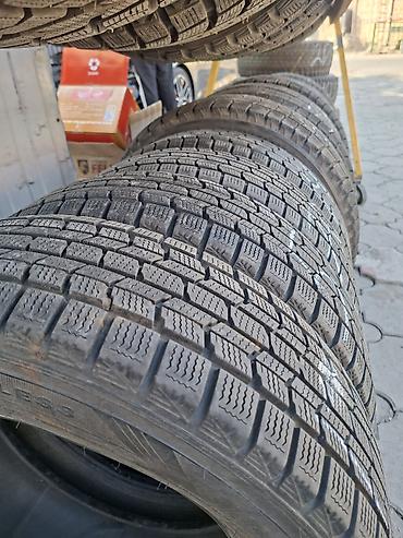 r13 17570: Шино 175/70R14
8500 — 3