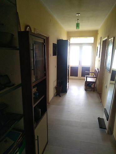 prodaja kuca vrbas: Renovirana kuća 120 m2 na 14 ara sa zasadom paulonije - Turija kuća u — 4
