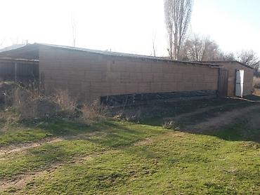 70 сом: 65 м², 3 бөлмө, Жертөлө, ороо, Забор, тосулган, Брондолгон эшиктер — 6