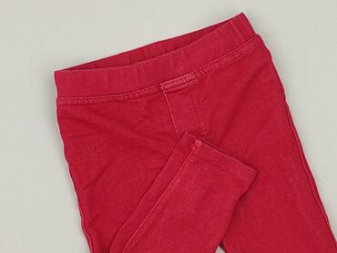 gatta rajstop: Legginsy, 9-12 miesięcy, stan - Idealny