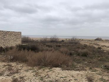 bağca satılır: Bakı, Hövsan qəs., 45 kv. m, 4 otaqlı — 10