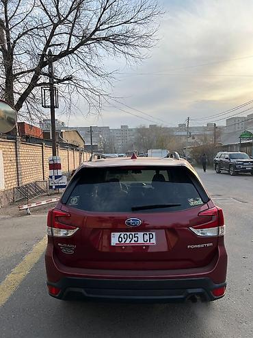 Subaru: Subaru Forester: 2020 г., Бензин — 3