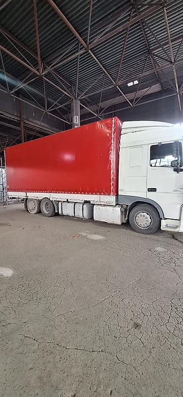 daf xf: Тягач, DAF, 2014 г., Тентованный — 10