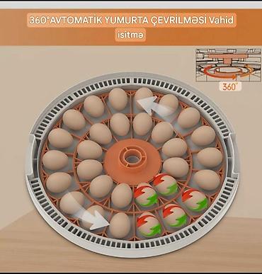 Инкубаторы: Китай, Полностью автоматическая — 3