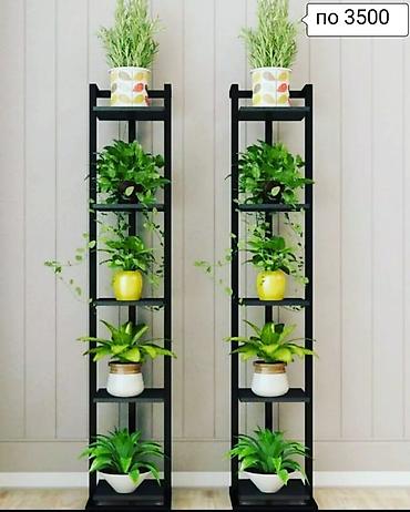 Тележки-органайзеры на колесах: Этажерки/стеллажи для комнатных растений - Дизайн: современные — 16