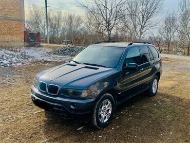 BMW: BMW X5: 2003 г., 3 л, Автомат, Дизель, Внедорожник — 2