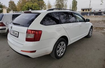 Skoda: Skoda Octavia: 2015 г., 1.6 л, Механика, Бензин, Универсал — 6