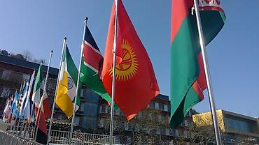 Языковые курсы: Языковые курсы Корейский Для взрослых, Для детей — 6