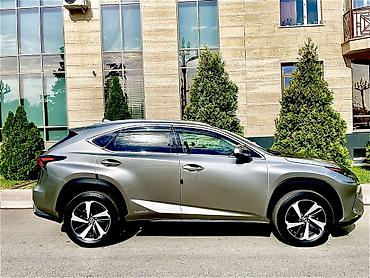 byd destroyer 05: Lexus NX: 2018 г., 2.5 л, Вариатор, Гибрид, Кроссовер — 6