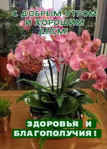 уборка квартир после ремонта: Уборщица - Женщина, 1-2 года опыта, Неполный рабочий день