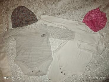 Kurtkalar: Adl — 14