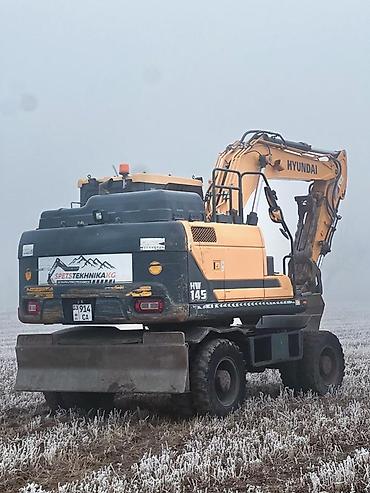 Экскаваторы: Экскаватор, Hyundai, 2017 г., Колесный — 9