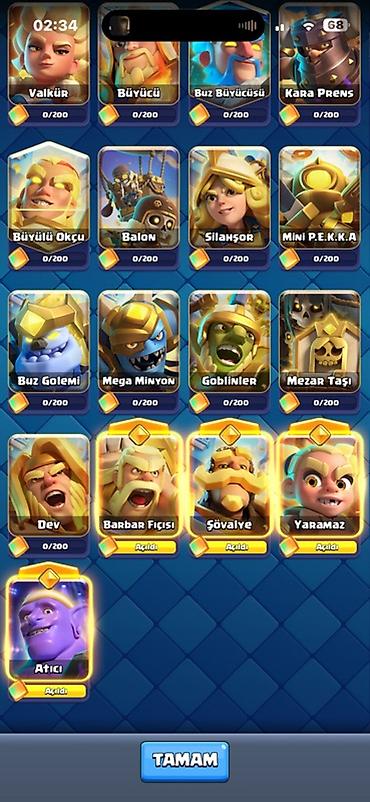 İncəsənət və kolleksiyalar: Clash Royale (8 il) + Clash of Clans(10il) hesabı (ikisi bir maildir — 6