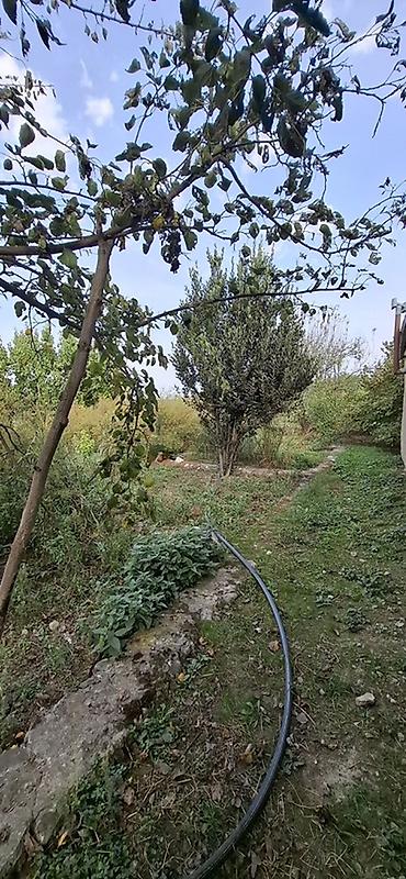 corat ev alqi satqisi: Tikinti — 6