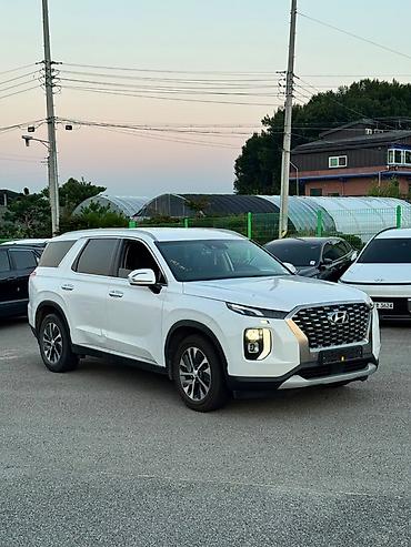 palisade: Hyundai Palisade: 2021 г., Кроссовер — 6