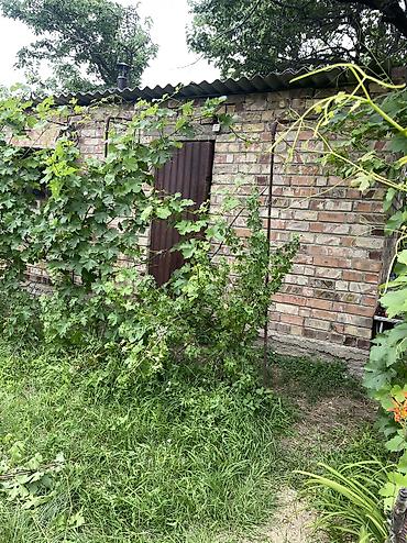 Продажа дач: ПРОДАЕТСЯ Дачный участок, с. Туз, СТ «Нур» (между с. Туз и с. Чон — 16