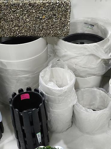 taxta dibcek: Bitki dibçəkləri və dekorativ qazançalar - Material: plastik (ağ və — 1