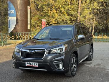 продаю субару форестер: Subaru Forester: 2019 г., 2.5 л, Вариатор, Бензин, Кроссовер